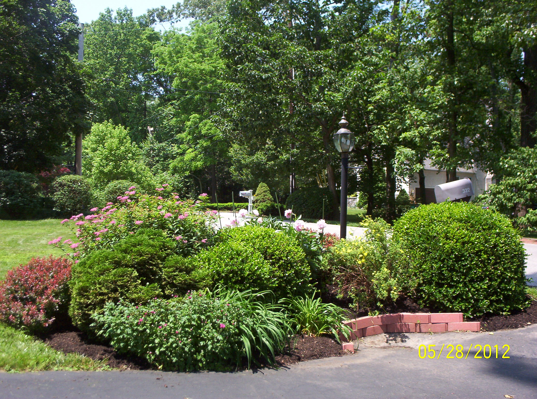 Samples of deer resistant landscape designs for Northeast