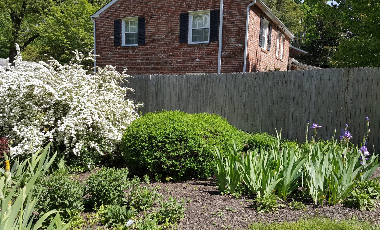 Samples of deer resistant landscape designs for Northeast