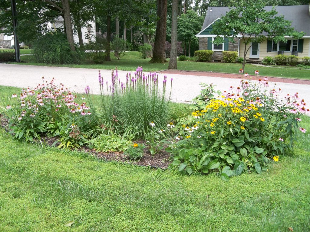 Deer resistant landscaping designs: Sunny perennial island bed