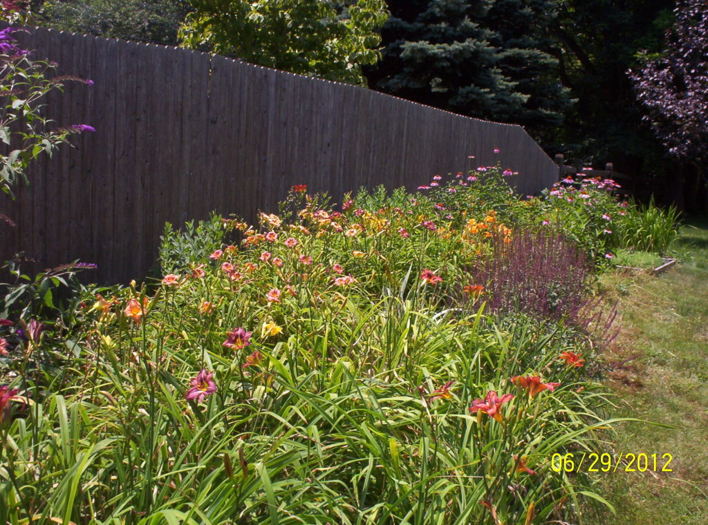 Deer resistant landscaping: Border