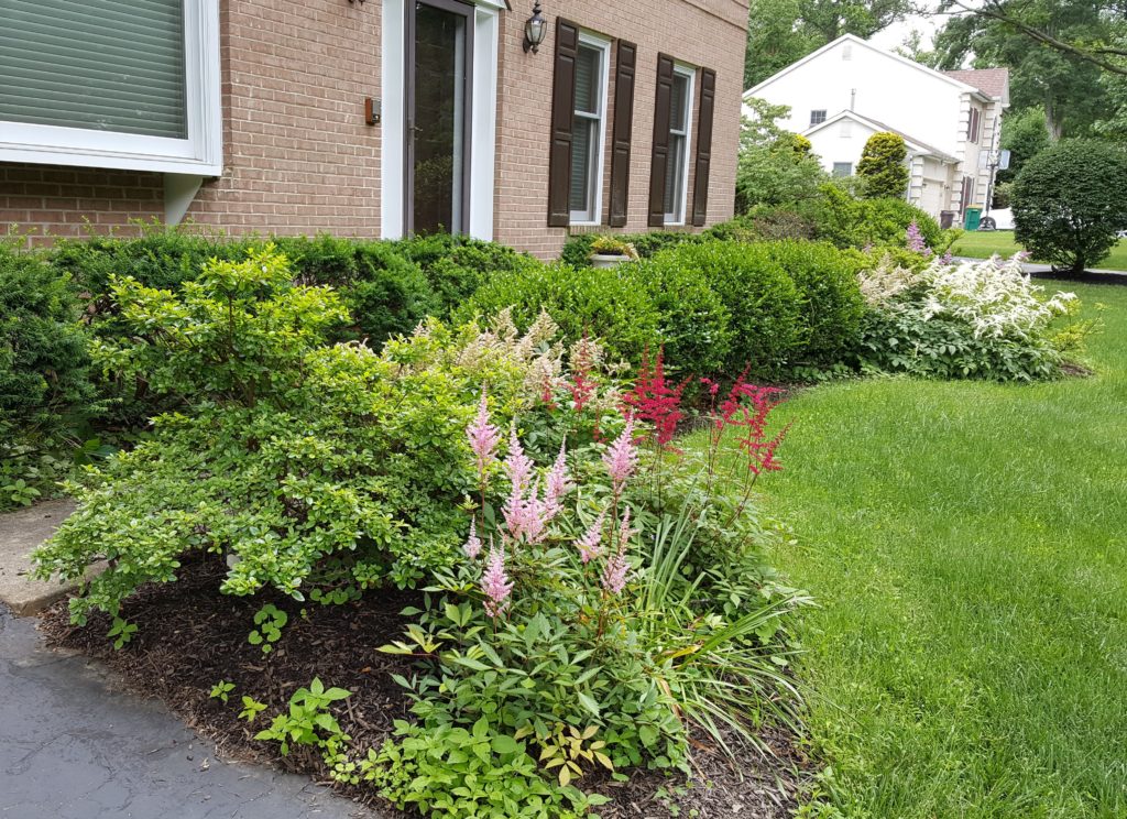 Deer resistant landscaping designs: Shady and semi-shady borders