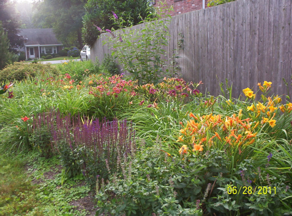 Deer resistant landscaping designs: Sunny perennial border