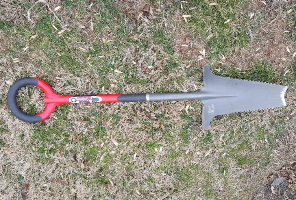 Transplanting the root suckers: Root cutting shovel