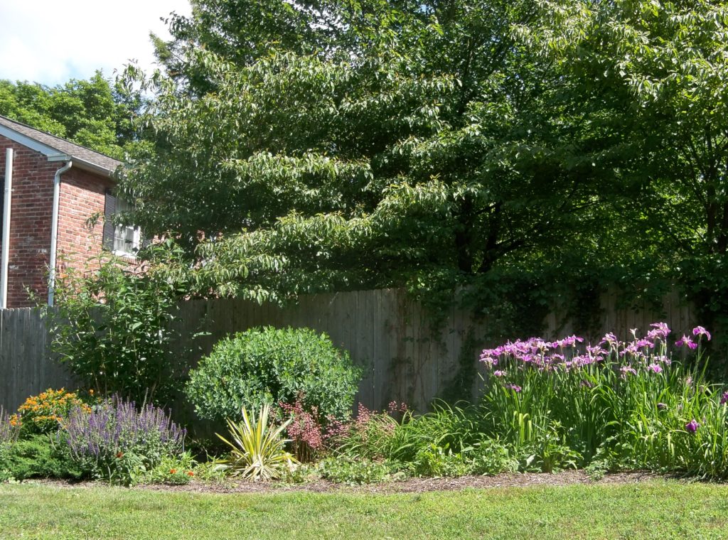 Deer resistant landscaping designs: Sunny perennial border