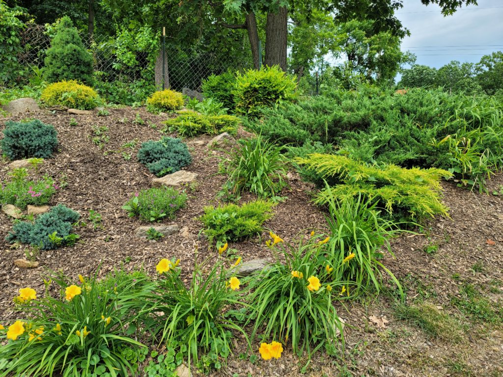 Deer resistant landscaping designs: Sunny slope